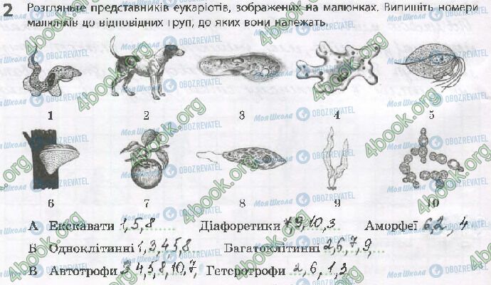 ГДЗ Биология 10 класс страница Стр.14 (2)